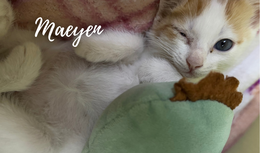 Maeyen