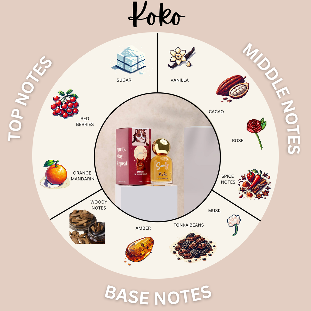 SORAE KOKO CARAMEL COFFEE EXTRAIT DE PARFUM 30ml / 100ml