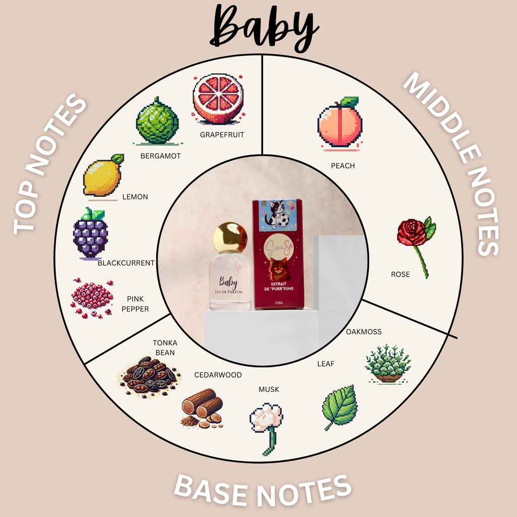 SORAE BABY GRAPEFRUIT SOAPY EXTRAIT DE PARFUM 35ML / 100ML