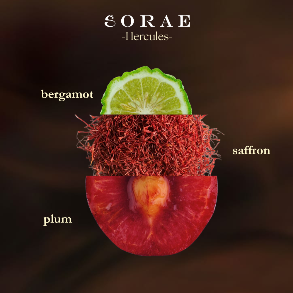 SORAE HERCULES COFFEE LEATHER EXTRAIT DE PARFUM 30ml/100ml