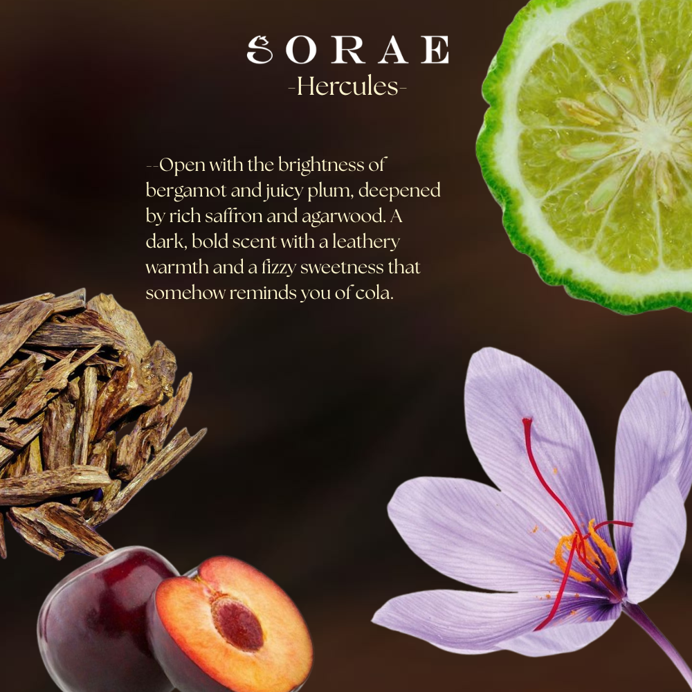 SORAE HERCULES COFFEE LEATHER EXTRAIT DE PARFUM 30ml/100ml