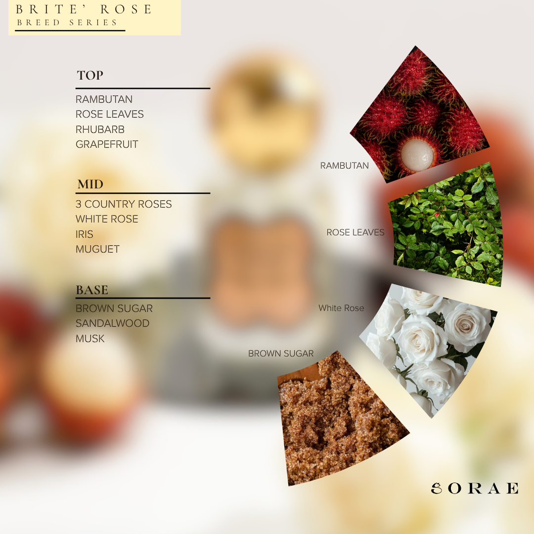 SORAE BRITE ROSE X AUS MESHI BREED SERIES EAU DE MEOW 30ml