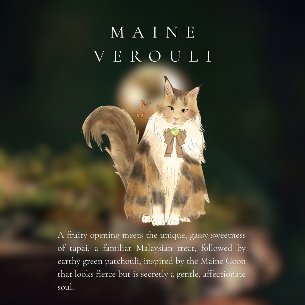 SORAE MAINE VEROULI X AUS MESHI BREED SERIES EAU DE MEOW 30ml